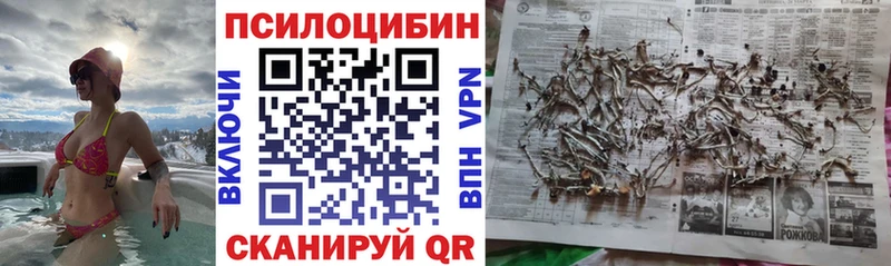 Галлюциногенные грибы MAGIC MUSHROOMS  Нытва 